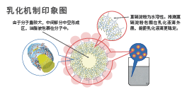 植物乳酸菌发酵米—SR(图4) 植物乳酸菌发酵米—SR(图4)