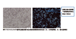 植物乳酸菌发酵米—SR(图5) 植物乳酸菌发酵米—SR(图5)