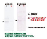 有机米糠水解液(图2)